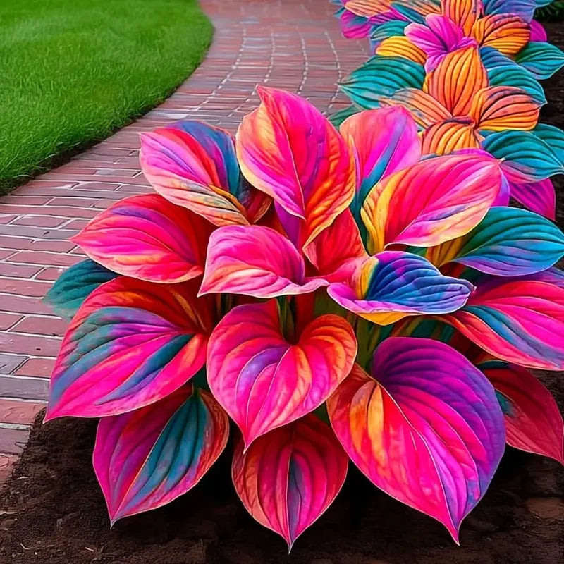 /69baebc4fa9ae40009ea0696/2026/04/14/product-img-69ddede6f707c0639afa465b.png